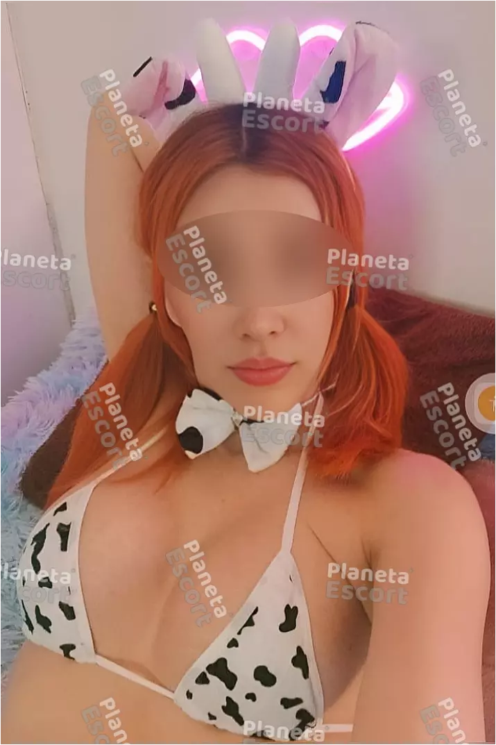 Foto miniatura