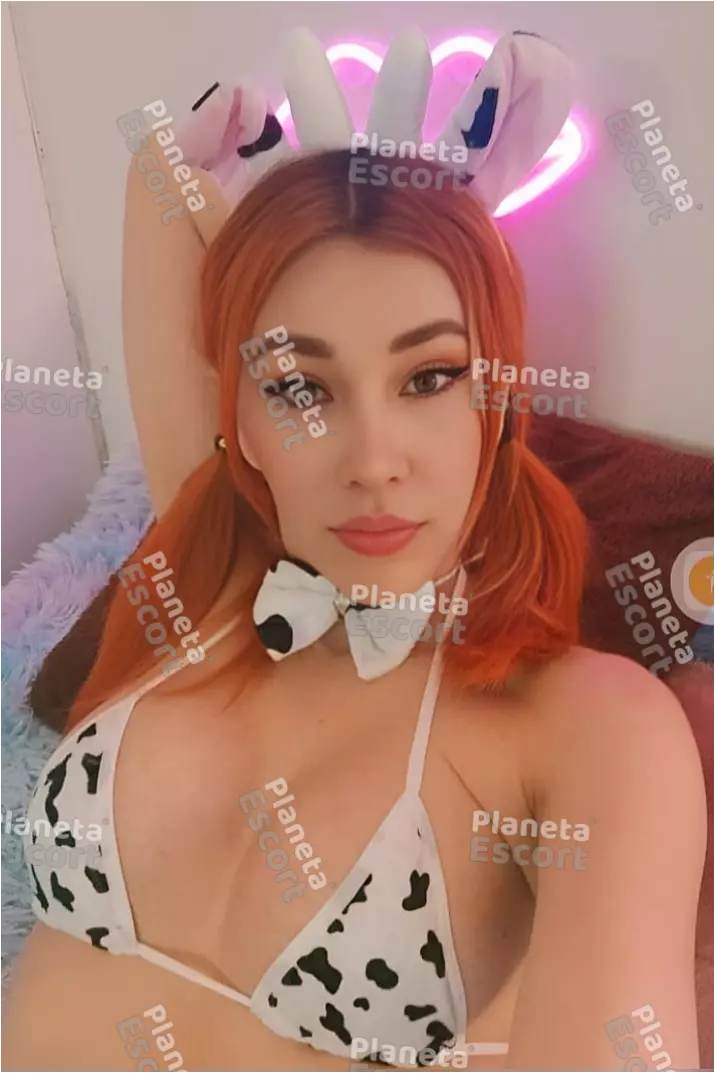 Foto miniatura