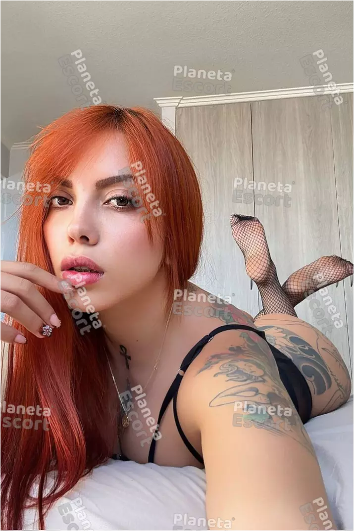 Foto miniatura