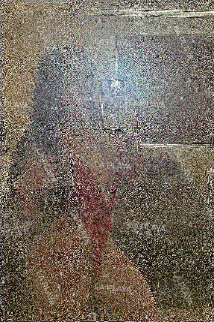 Foto miniatura