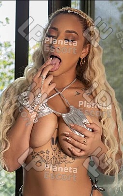 imagen de perfil de Princesa