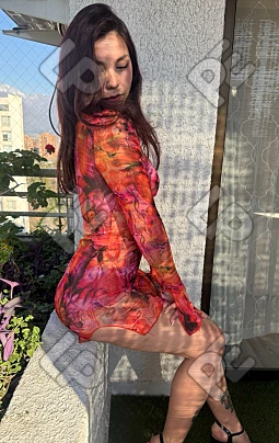 imagen de perfil de Romi