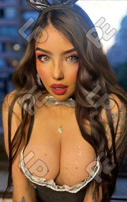 imagen de perfil de Diamante 