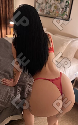 imagen de perfil de Paz