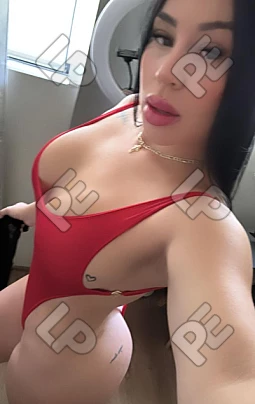 imagen de perfil de Tefi 