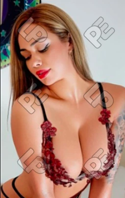imagen de perfil de Solcito