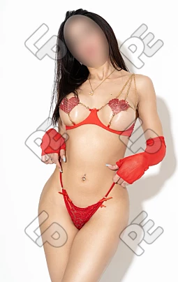 imagen de perfil de Michell