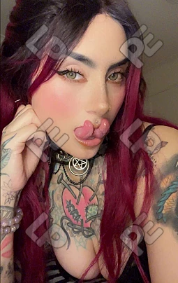 imagen de perfil de Sarita