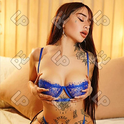 imagen de perfil de Foxxy